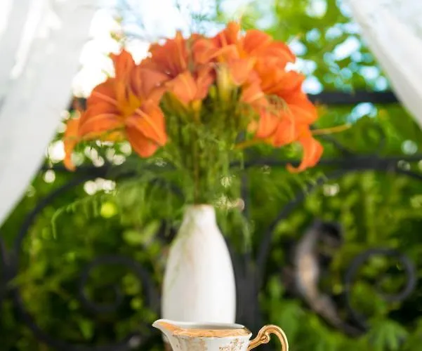 Artur Vip Club 公寓式酒店 4*